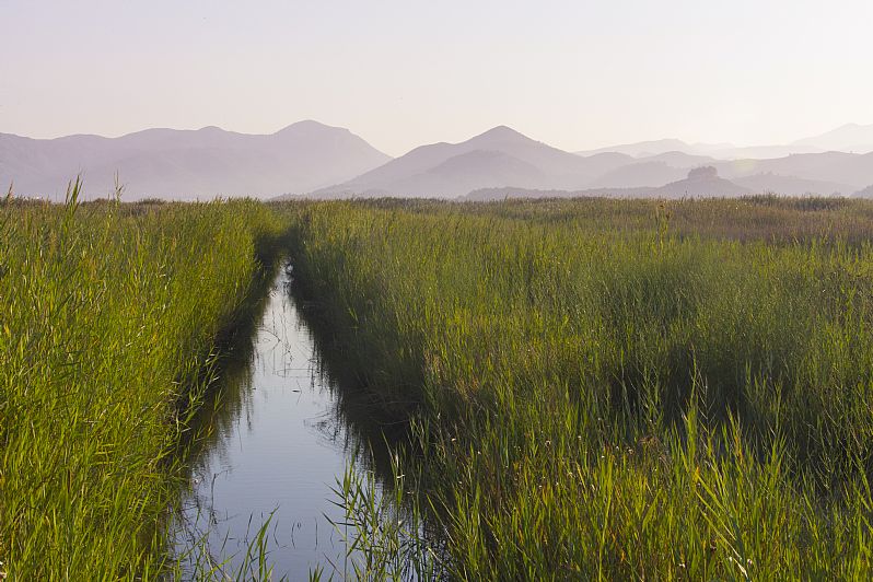 Oliva-Pego Marsh Natural Park, a natural haven in Oliva, Valencia