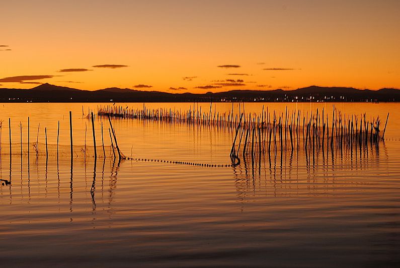 19-11-2024 Naturpark Albufera Valencia